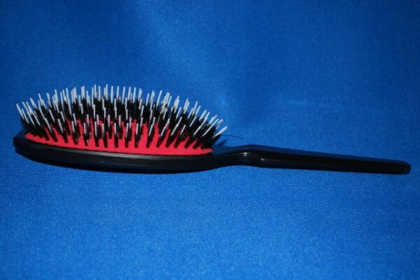 Porcupine Brush oval